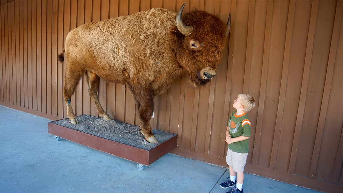 When Executive Presence Backfires