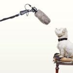 How to Nail Your Next Media Interview