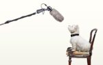 How to Nail Your Next Media Interview