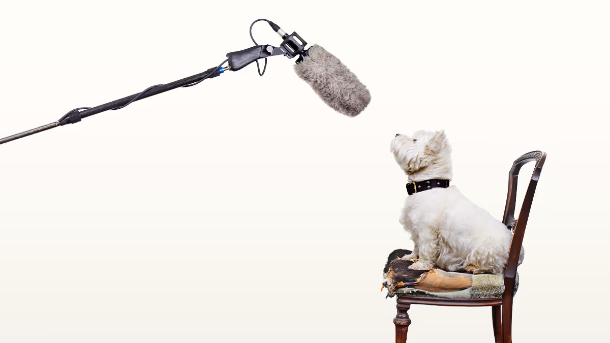 How to Nail Your Next Media Interview