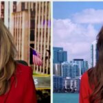 DOJ’s Harmeet Dhillon Details Just How Much A ‘Mess’ Voter Rolls Are