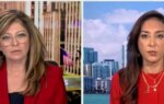 DOJ’s Harmeet Dhillon Details Just How Much A ‘Mess’ Voter Rolls Are