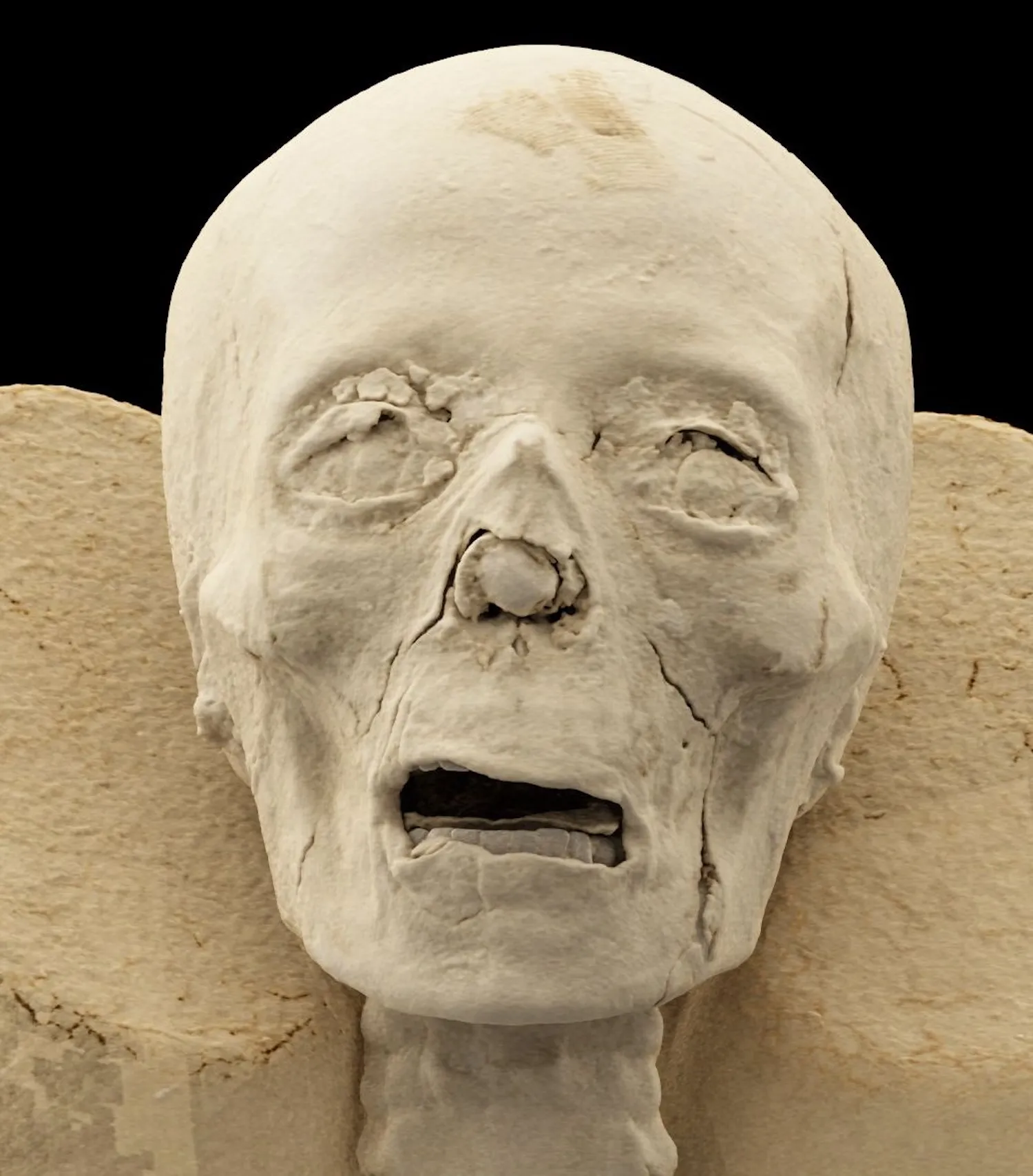 3D scan of front of mummy skull