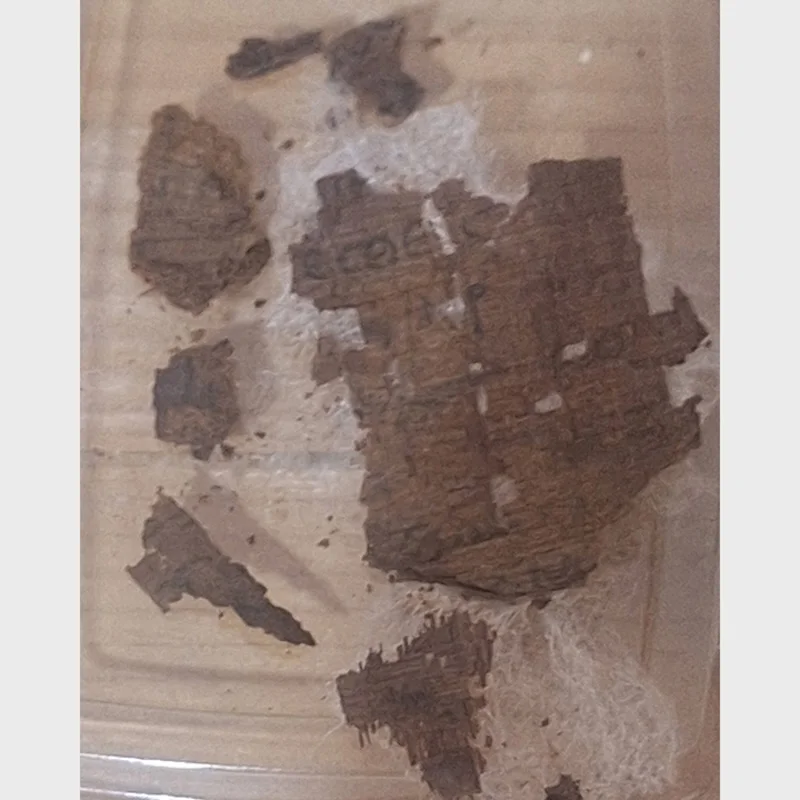 A papyrus containing a snippet of the Iliad found in an Egyptian mummy.