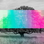 The Future Is Shrouded in an AI Fog