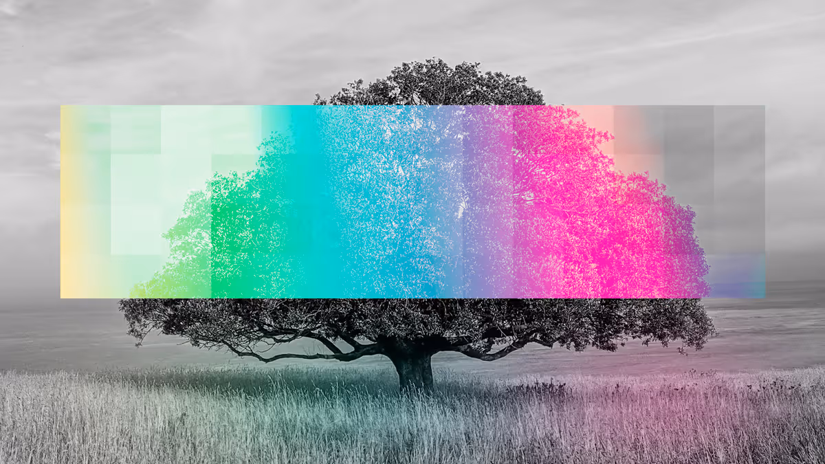 The Future Is Shrouded in an AI Fog