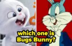 Famous Bunny Characters Trivia Quiz