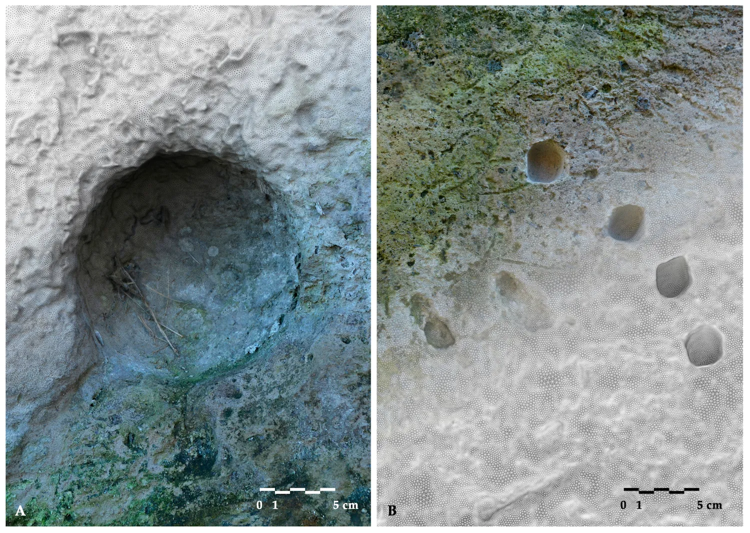 Scale comparison of two detailed textured mesh models: on the left, (A) ballistic impact of a spherical stone projectile; on the right, (B) fan-shaped groups of smaller quadrangular impacts. Credit: Rossi, et al.