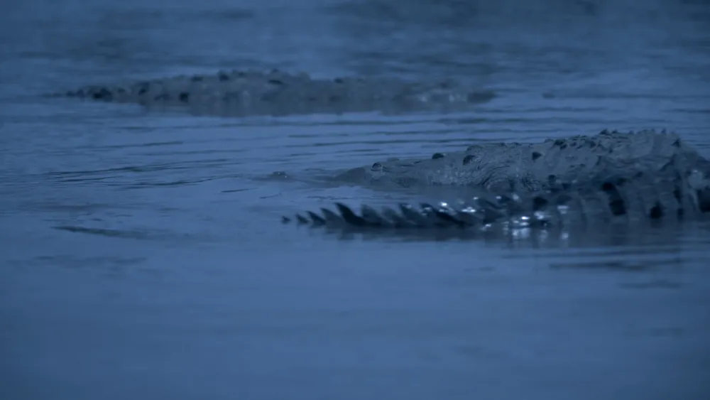 Vitrine Filmes España Sets Alexandra Latishev's Fantasy Fable 'Sirens'