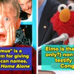 Mind-Blowing Facts That Are 100% True From March 2026