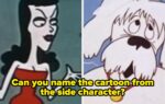 Identify Cartoons From Their Side Characters