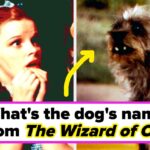 Famous Dog Characters From TV And Film Trivia Quiz