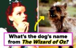 Famous Dog Characters From TV And Film Trivia Quiz
