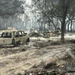 Why the Southeast is burning – extreme drought is only part of the reason