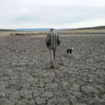 Record US drought sparks worries about fires, water supply and food prices