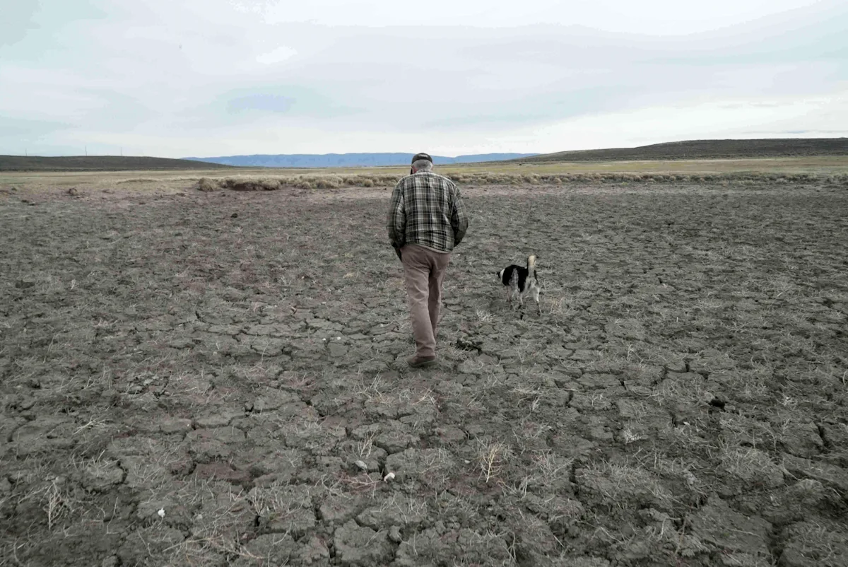 Record US drought sparks worries about fires, water supply and food prices