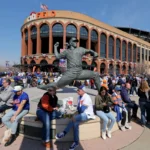 NY Mets' newest ballpark snack goes viral, but divides fans: pickles
