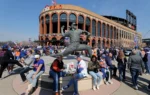 NY Mets' newest ballpark snack goes viral, but divides fans: pickles