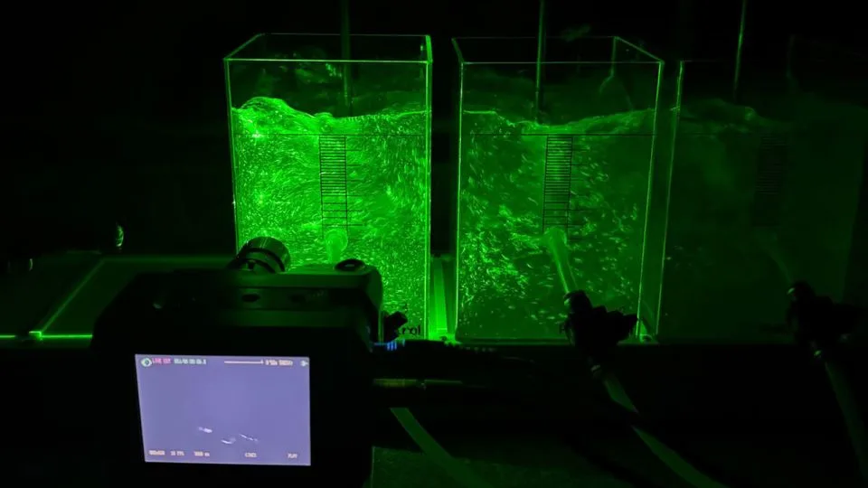 Experimental setup used by the scientists to measure the particle size of the PVC microplastics. - Dr. Adriano Gonçalves dos Reis