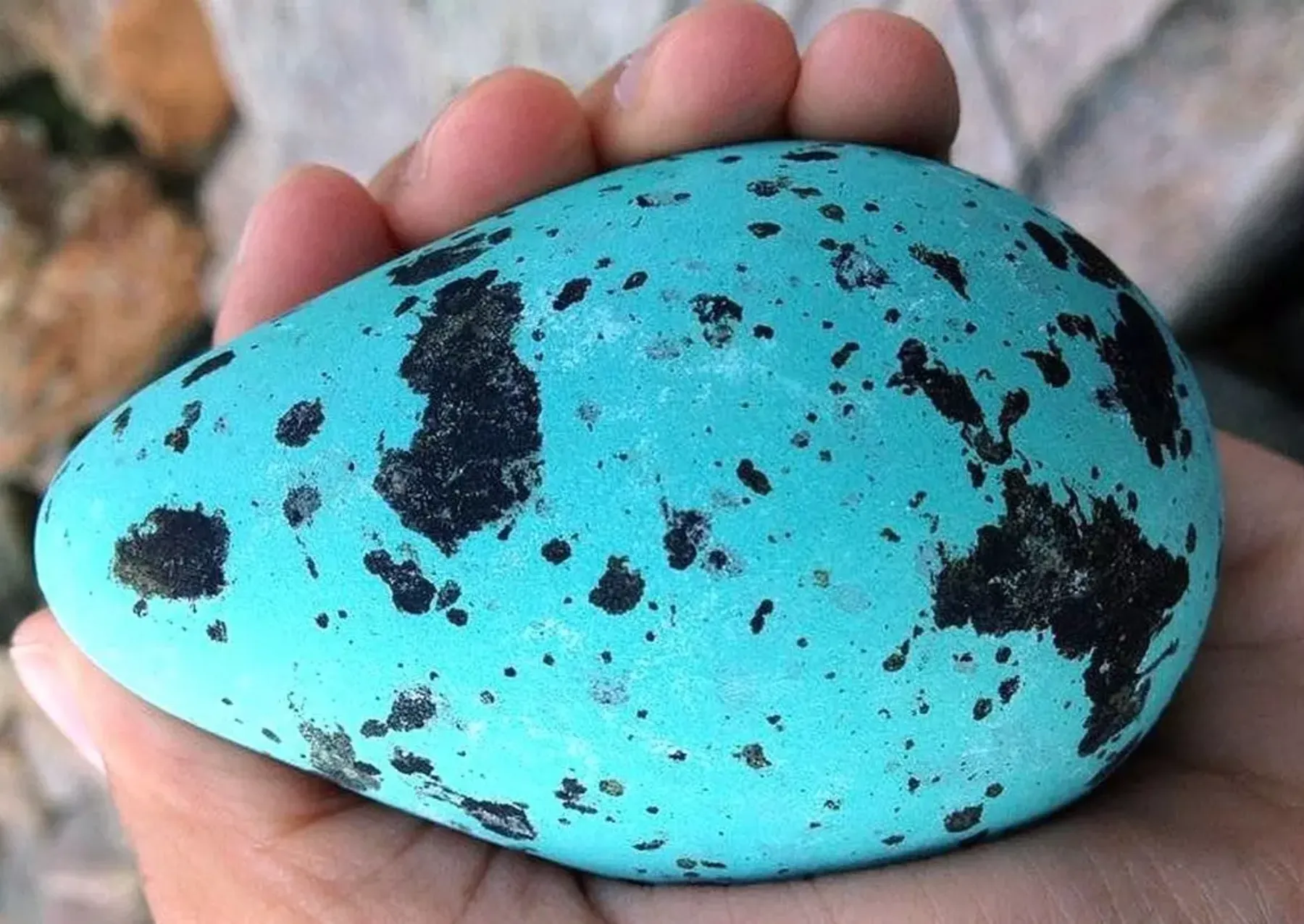 a pear-shaped teal egg with black spots