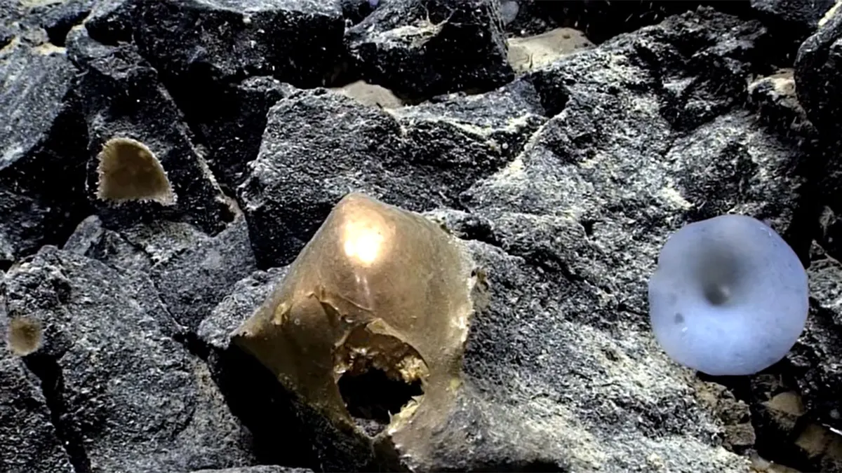 golden orb found at bottom of the sea