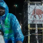 Critically endangered antelopes return to Kenya from Czech zoo