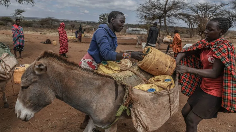 People load water containers onto an animal in a drought-affected area of Kenya in August 2025. The collapse of the AMOC would bring catastrophic impacts including prolonged droughts across a swath of Africa. - Gerald Anderson/Anadolu/Getty Images