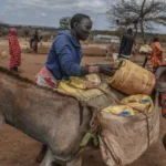 A vital system of Atlantic Ocean currents is weakening and closer to collapse than thought, new studies find