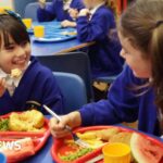 Deep-fried food banned in new plans for school dinners