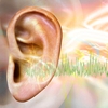 Gene therapy shows promise for an inherited form of deafness