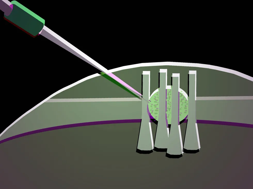 Soft Photonic Switch Could Drive All‑Optical Logic