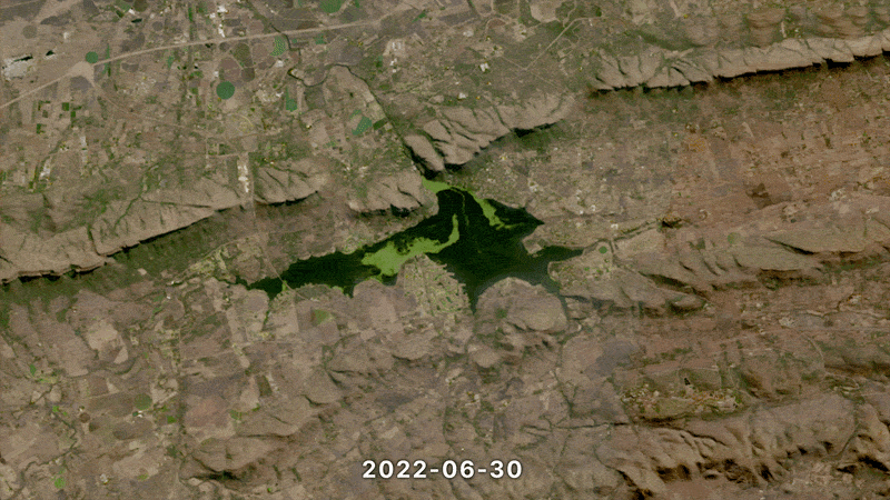 Looped video footage of time-lapse photos of algal blooms spreading across the surface of Hartebeespoort Dam