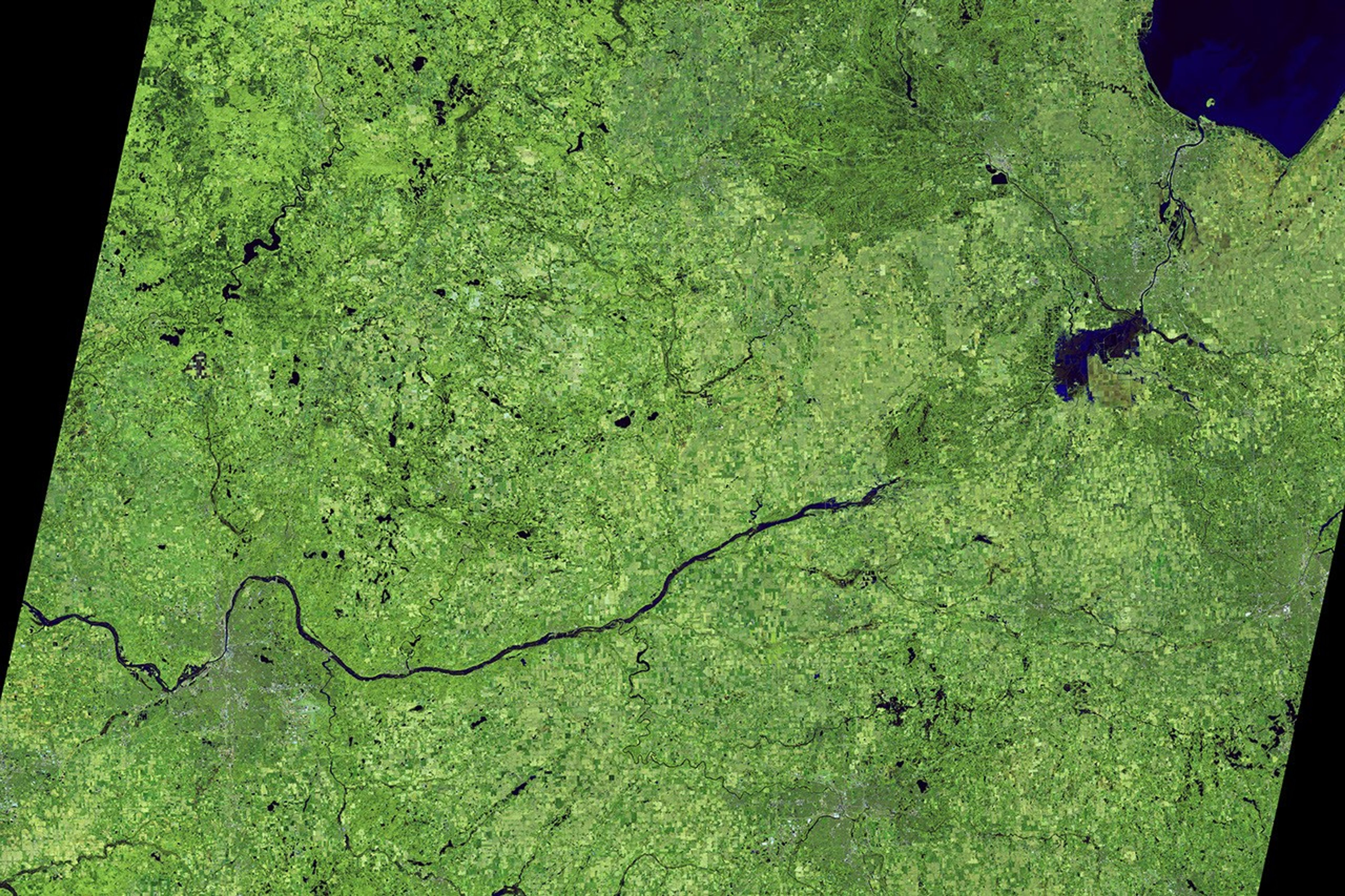 The Grand River in Michigan is wider than the previous year at the same time, swollen with floodwater. Water is dark blue, and vegetation appears in shades of green in this false-color image.
