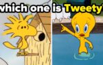 Famous Bird Characters Trivia Quiz