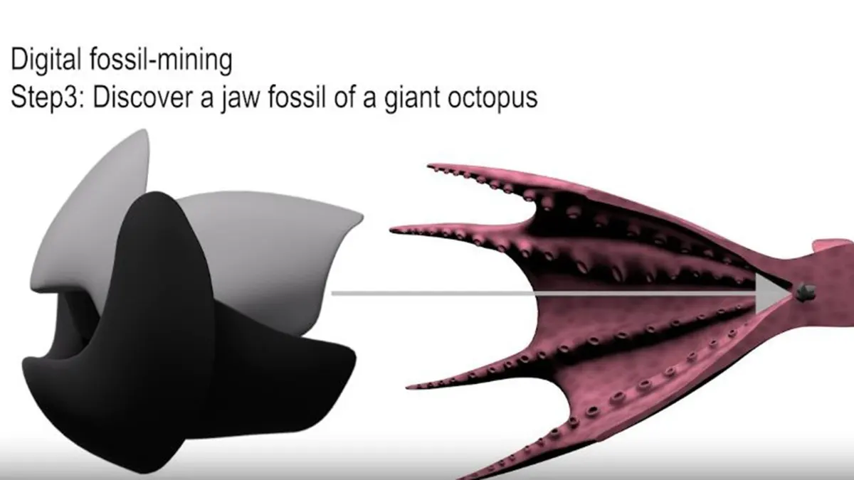Rendering of how the jaw fossil fit into the ancient octopus