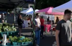 10 farmers market tips for being a better, smarter shopper