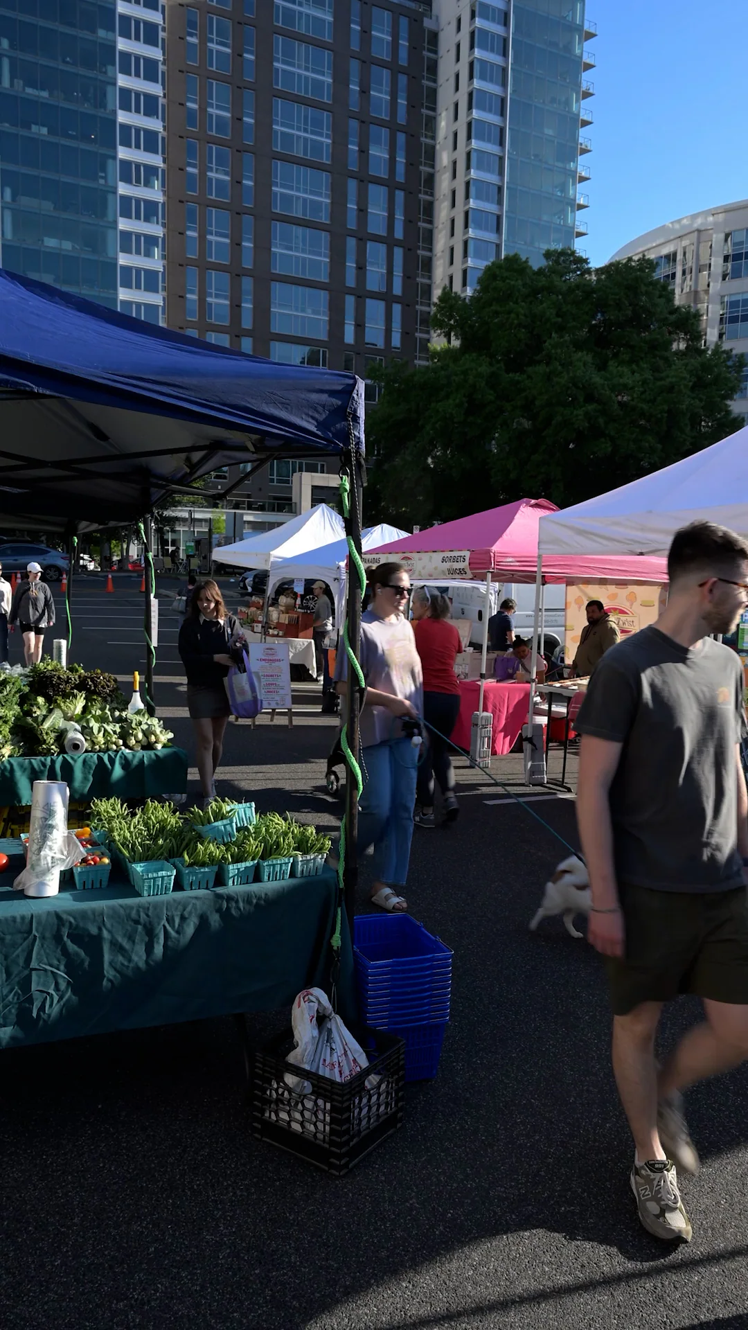 10 farmers market tips for being a better, smarter shopper