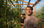 'This Is a Gardening Show' review: Zach Galifianakis' charming food series