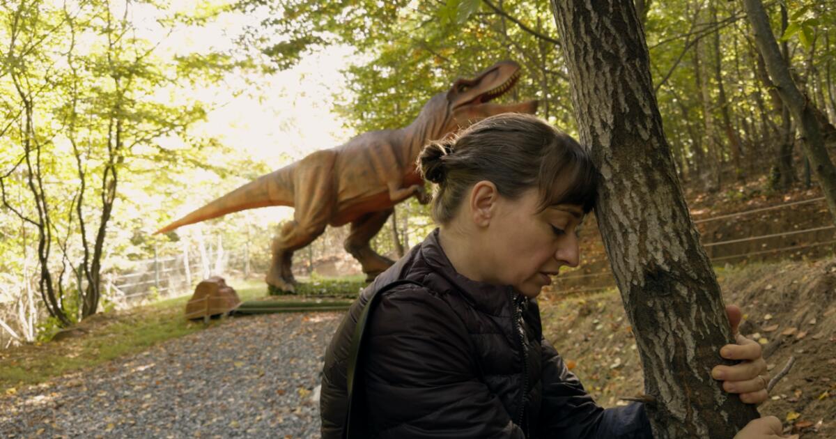 'Kontinental ’25' review: Shooting on iPhones, provocateur Radu Jude is back