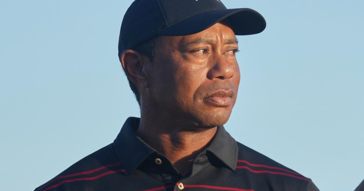 Tiger Woods pleads not guilty to DUI, says he will 'seek treatment'