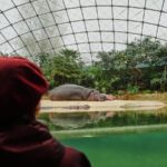 A specialized tour at the Berlin Zoo brings joy to people living with dementia