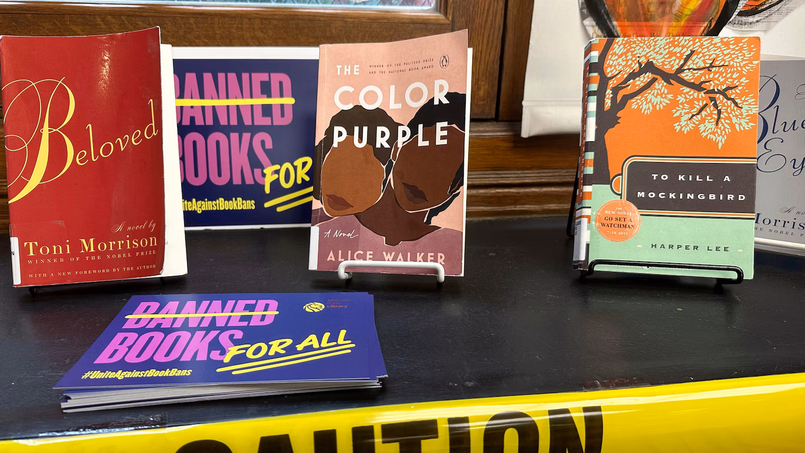 Book bans and attempted bans remain at record highs, with 'Sold' topping the list