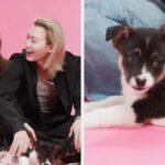 Anna Cathcart Sang Heon Lee XO, Kitty Puppy Interview