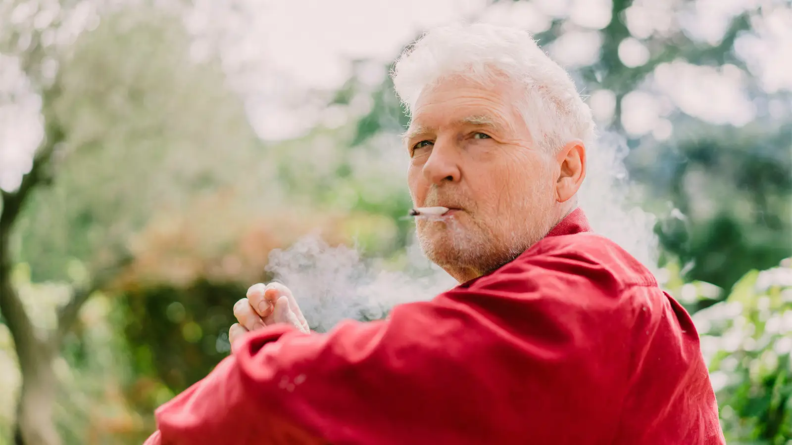 Here's What Medical Marijuana Can Do for Older Patients