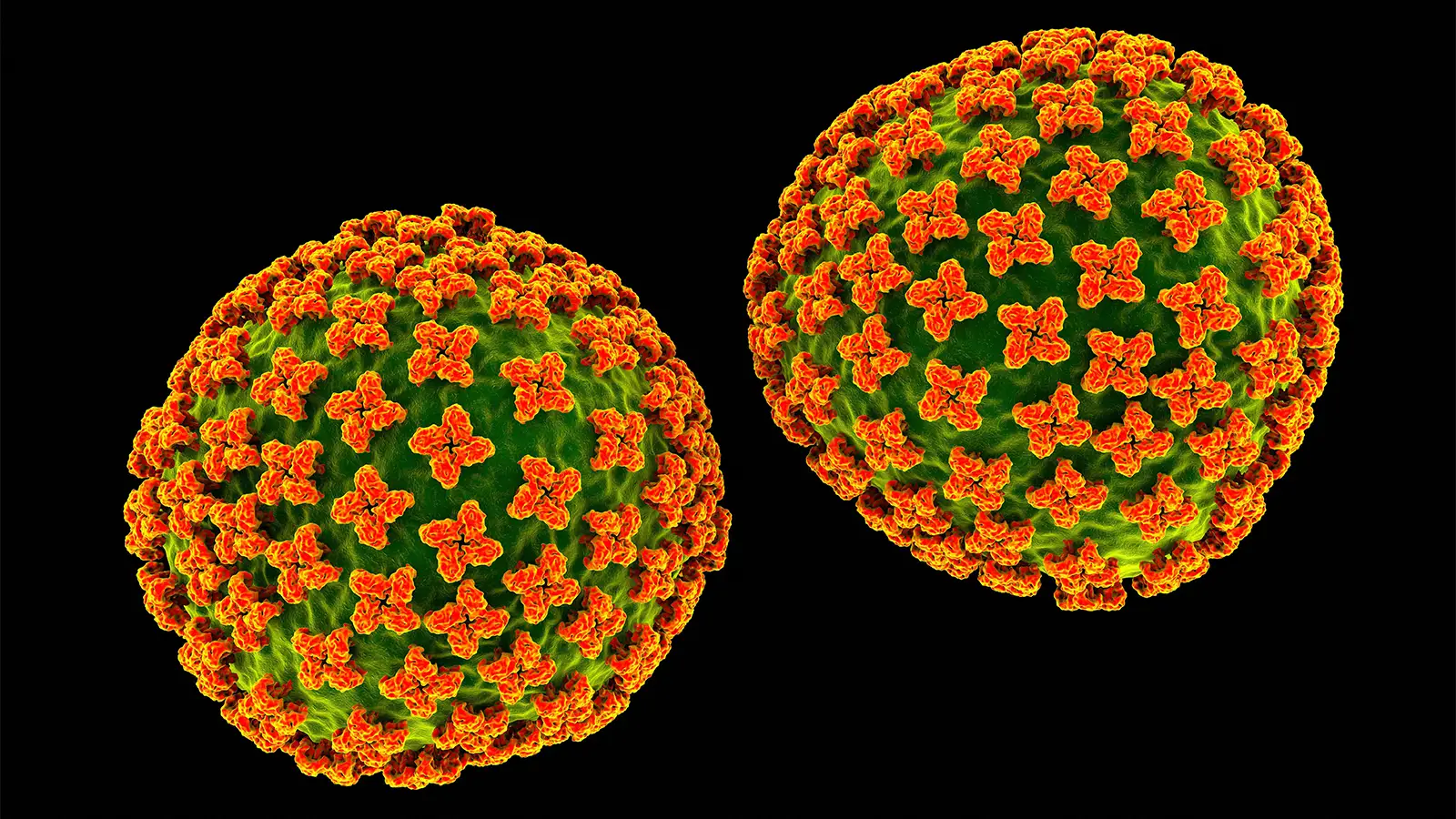 Hantavirus Outbreak: 'Not the Next COVID' but Still Cause for Concern