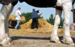Harm Reduction Works. 'Wellness Farms' Won’t.