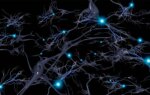 The Unconscious Brain Is Still Listening, New Study Shows