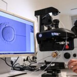 Experts Question Impact of Trump's Latest Effort on Fertility Care Coverage