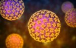 More Americans Being Monitored for Hantavirus Than Previously Known