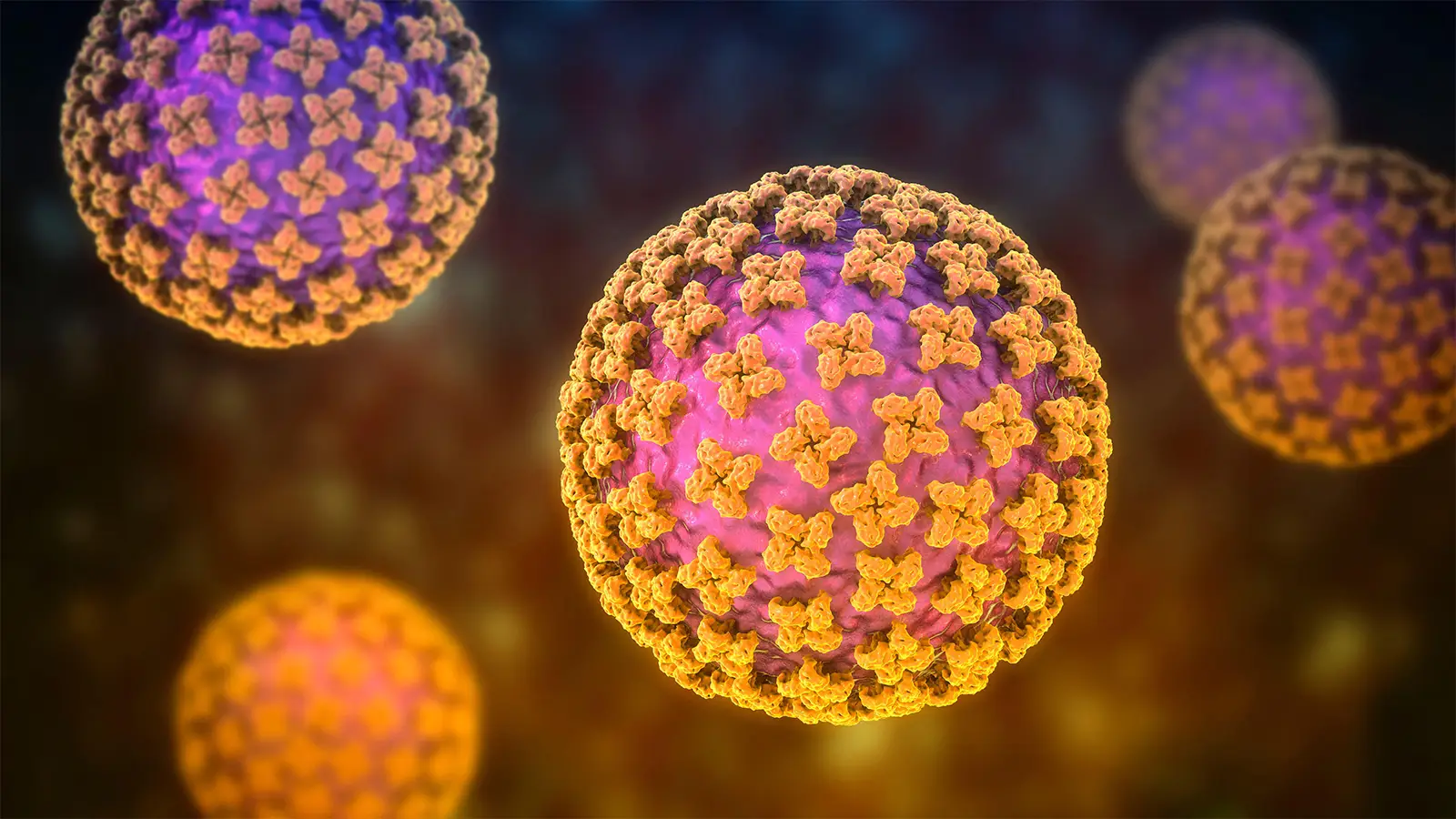More Americans Being Monitored for Hantavirus Than Previously Known